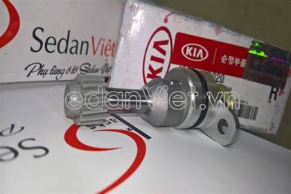 Sâu công tơ mét 436244D020