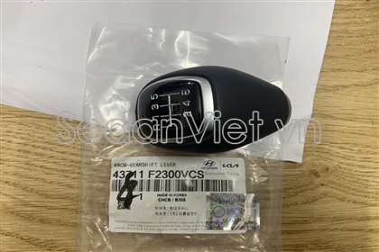 Nắm đấm đi số 43711F2300VSC