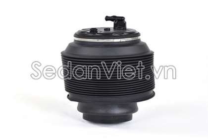 Bóng khí nâng hạ gầm - 4809035011