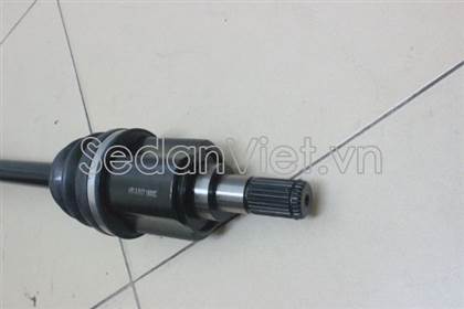 Cây láp trái 495012H001