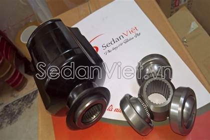 Đầu láp trong phải