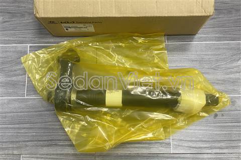 Trục láp trung gian 495602P600