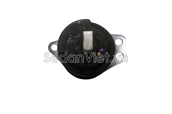 Cao su chân máy dầu 50820T2AA00