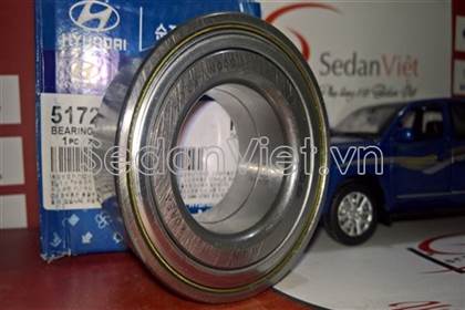 Bi moay ơ trước 517203A101
