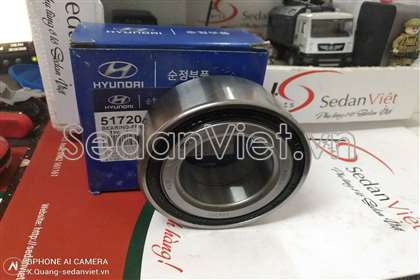 Bi moay ơ trước 517203A101