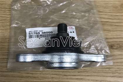 Rotuyn trụ đứng 5176038000