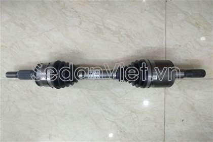 Cây láp phải - 52082441