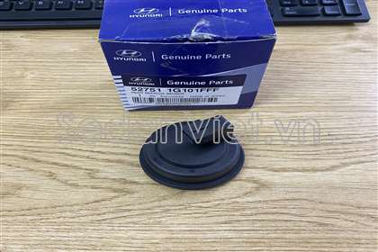 Nắp cảm biến ABS sau 527511G101FFF