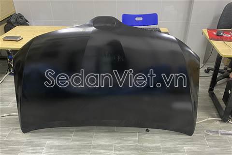 Nắp ca pô 533010T020