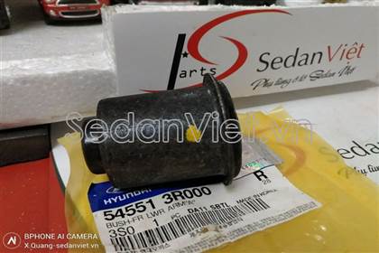 Cao su càng a nhỏ 545513R000