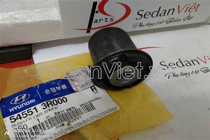 Cao su càng a nhỏ 545513R000