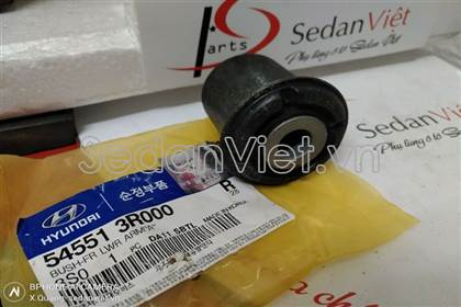 Cao su càng a nhỏ 545513R000