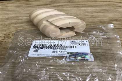 Tăm bông giảm xóc trước 546264H000