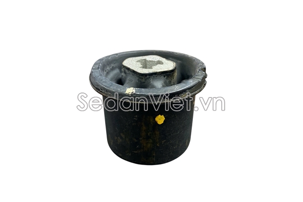 Cao su cầu sau