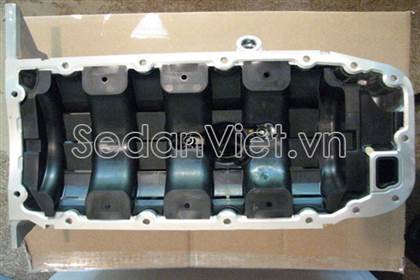 Đáy cacte 55566404