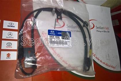 Cảm biến ABS trước phải 598301M300