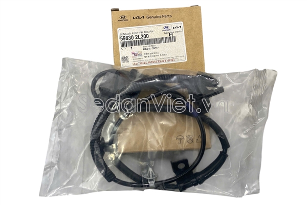Cảm biến ABS trước phải 598302L300