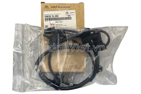 Cảm biến ABS trước phải 598302L300