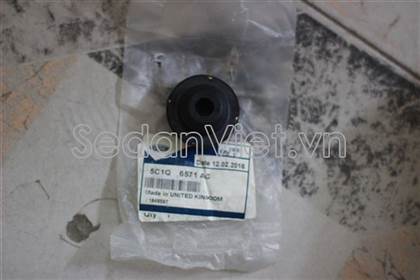 Cao su chân két nước