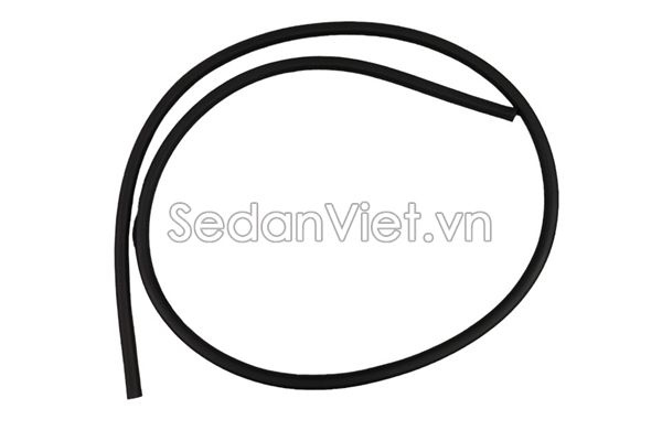 Gioăng khung cánh cửa trước 6231248070