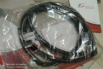Gioăng khung cánh cửa Lexus GX470 2002-2009