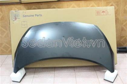 Nắp capo trước 66400B4000