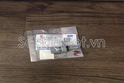 Cảm biến trục cam