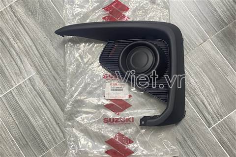 Ốp đèn gầm 7176173R005PK