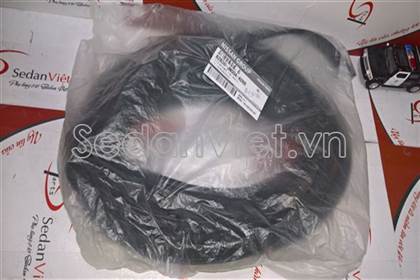 Gioăng khung thành cánh cửa 76923JN20A