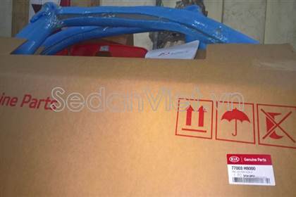 Cánh cửa sau trái 77003H8000