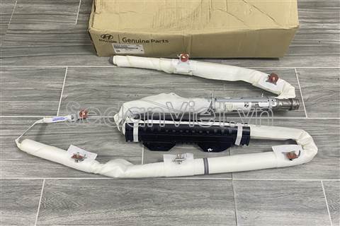 Túi khí trần xe 80420N9000