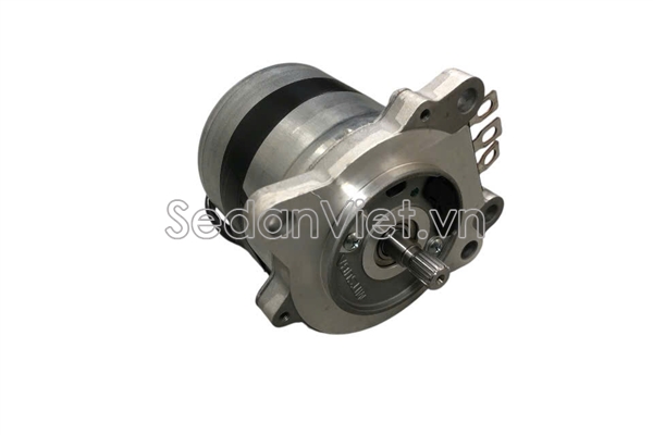Motor điều khiển lái điện 8096006050