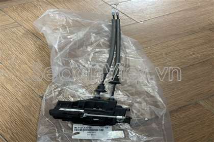 Ổ khóa ngậm cánh cửa trước 813103J010