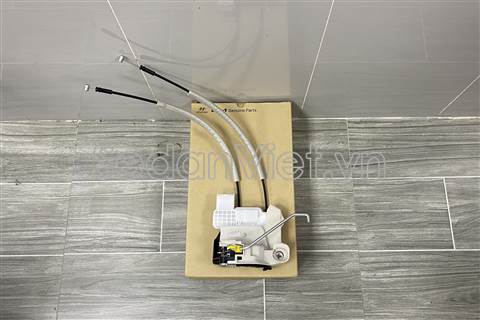 Ổ khóa ngậm cánh cửa trước trái 813111W020