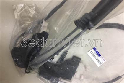 Ổ khóa ngậm cánh cửa sau trái 814102W000