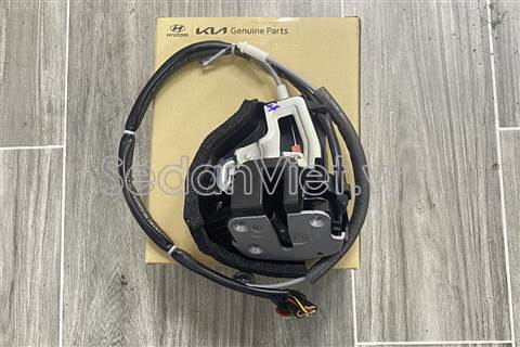 Ổ khóa ngậm cánh cửa sau trái 81410A9010