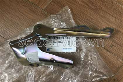 Bản lề capo trái