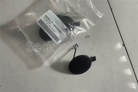 Nắp chụp móc cứu hộ trước 86517H6000