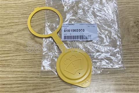 Nắp bình nước rửa kính