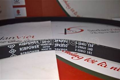Dây curoa bơm nước 3PK850 9008091232