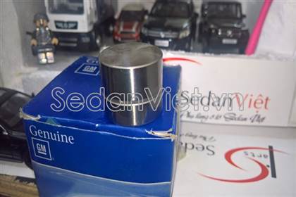 Con đội thủy lực Chevrolet Vivant 2008