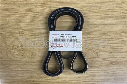 Dây curoa tổng Toyota Sienna 2003-2005
