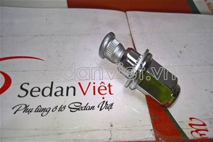 Bulong tắc kê 9094202049
