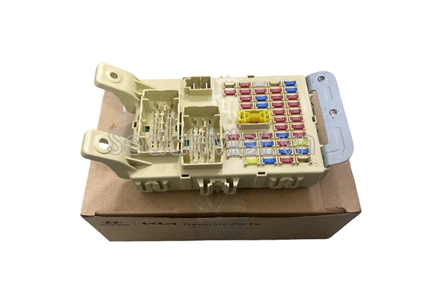 Hộp cầu chì trong xe 919501W570