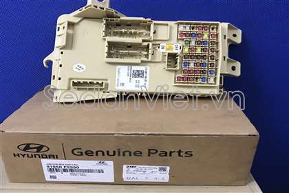 Hộp cầu chì trong xe 91950F2350