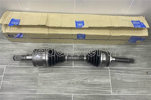 Cây láp trái 94713061