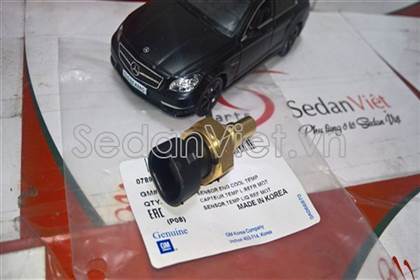 Cảm biến nhiệt độ nước 95025043