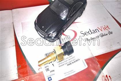 Cảm biến nhiệt độ nước 95025043