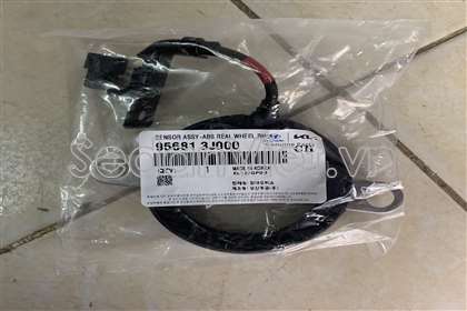Cảm biến ABS sau phải dùng cho xe Hyundai Veracruz 2008