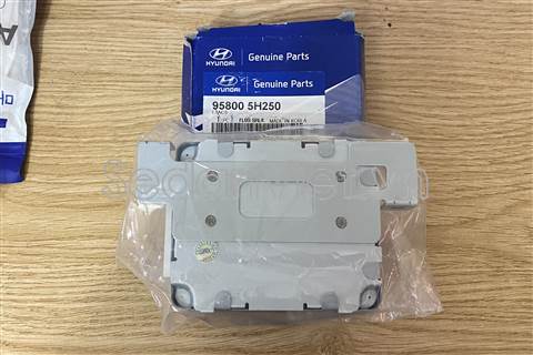 Hộp điều khiển thân xe 958005H250